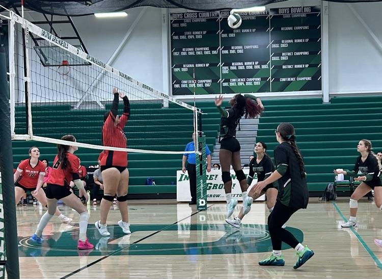 DHS JV Volleyball