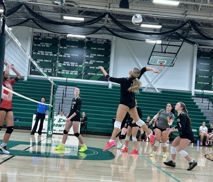 DHS Varsity Volleyball