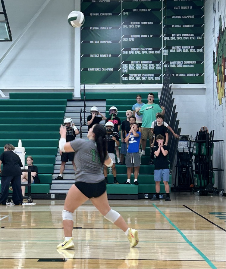 DHS Varsity Volleyball