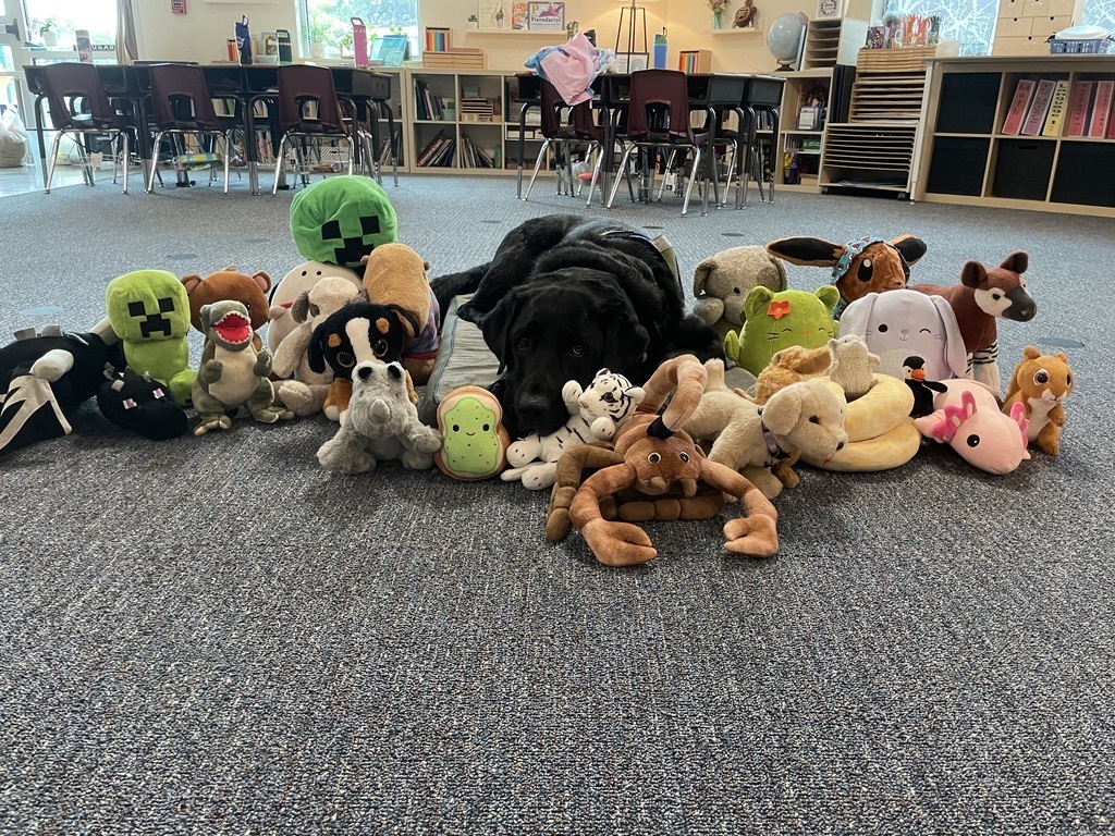 Zeb with stuffed animals