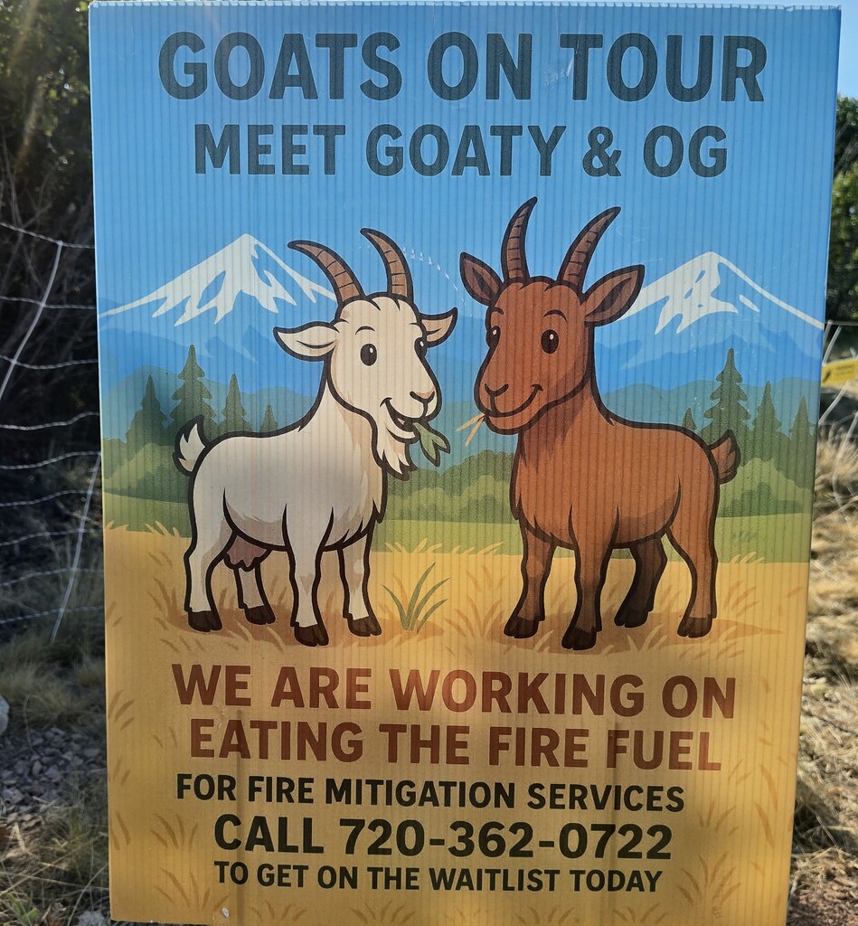 sign for goats on tour