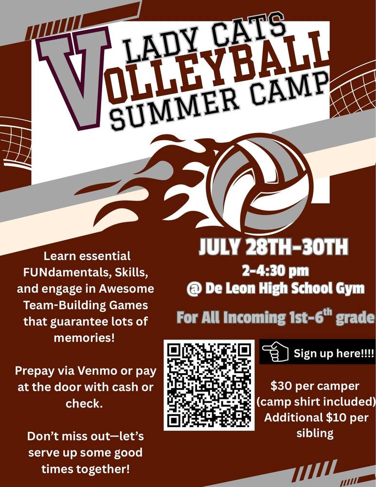 Lady Cats Volleyball Summer Camp flyer