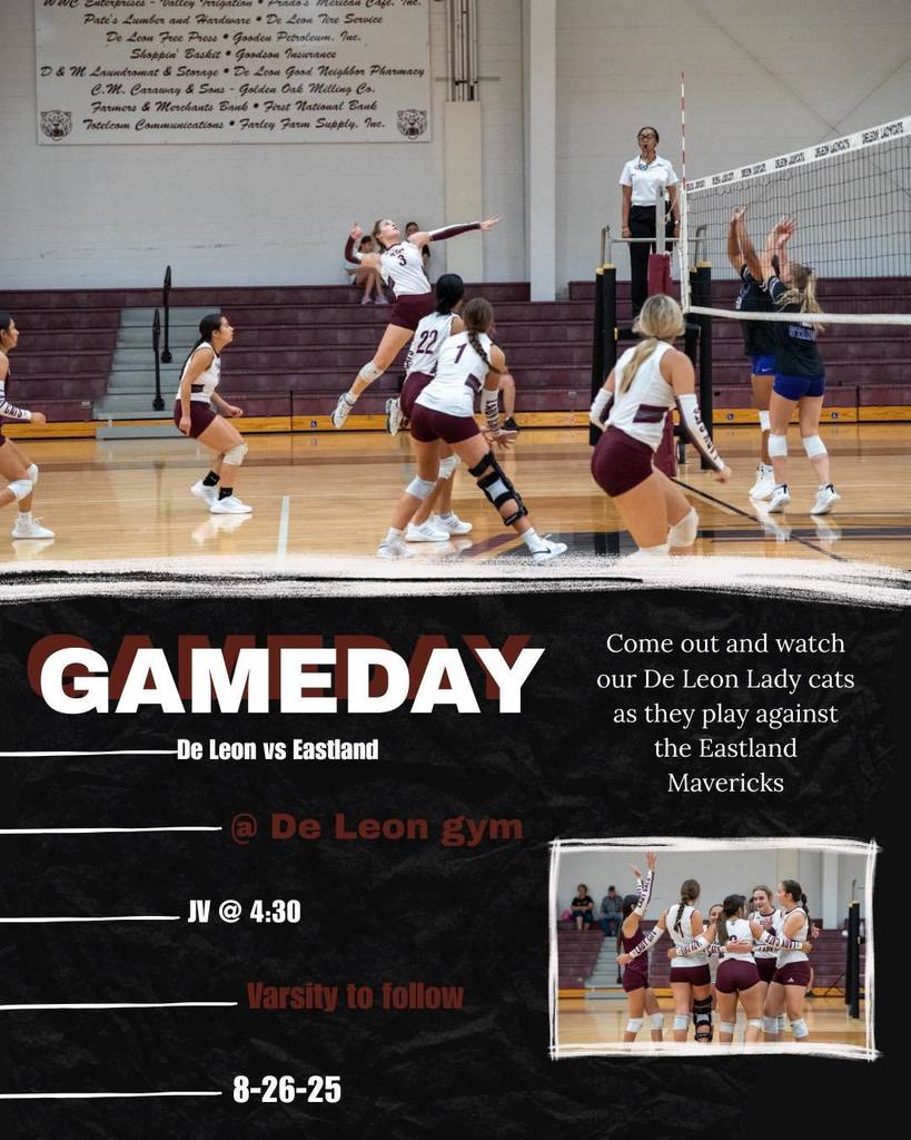 volleyball game day graphic