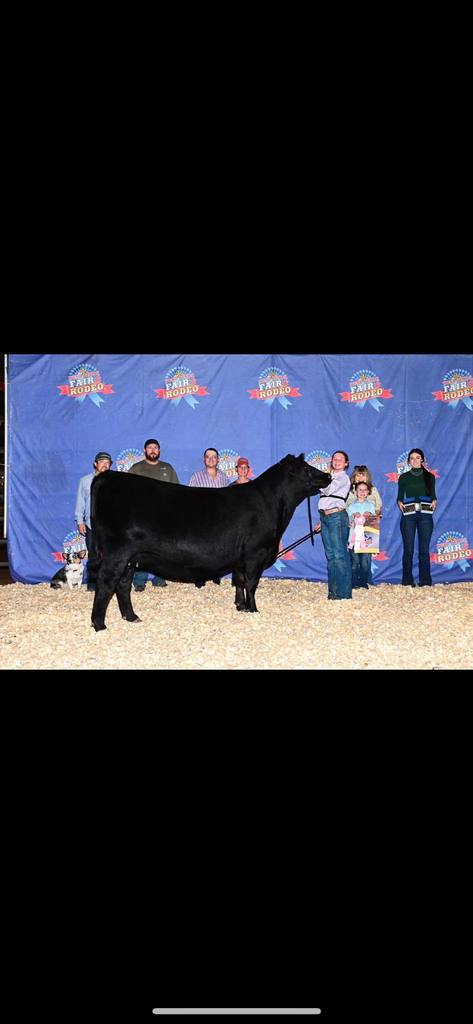 ffa student posing with winning angus and their family
