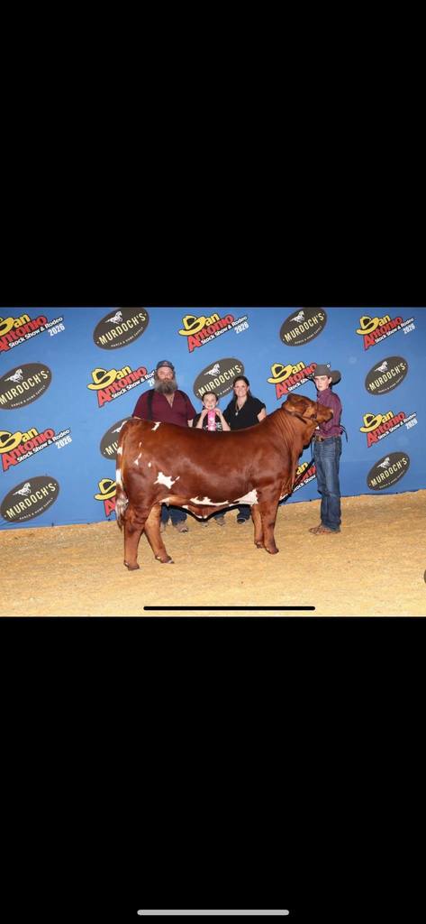 ffa member with show animal and their family at san antonio stock show