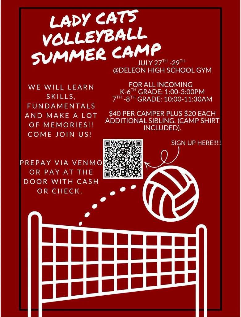 lady cats volleyball summer camp flyer