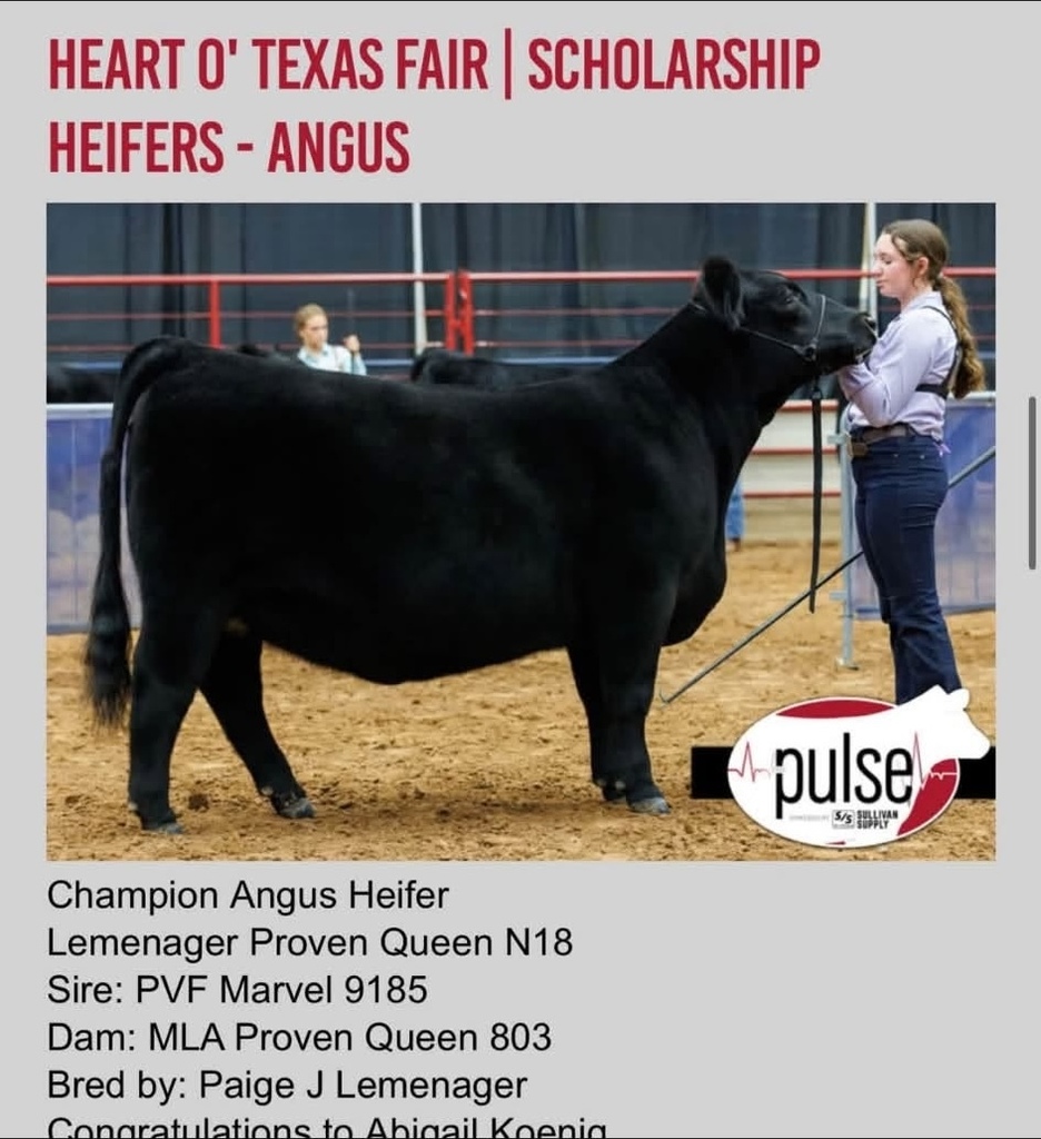 ffa member and her champion angus heifer standing in livestock show ring