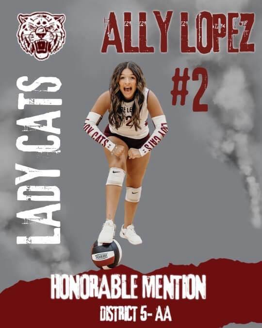 lady cats honorable mention all district