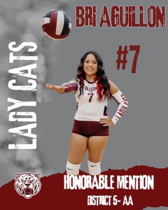 lady cats honorable mention all district