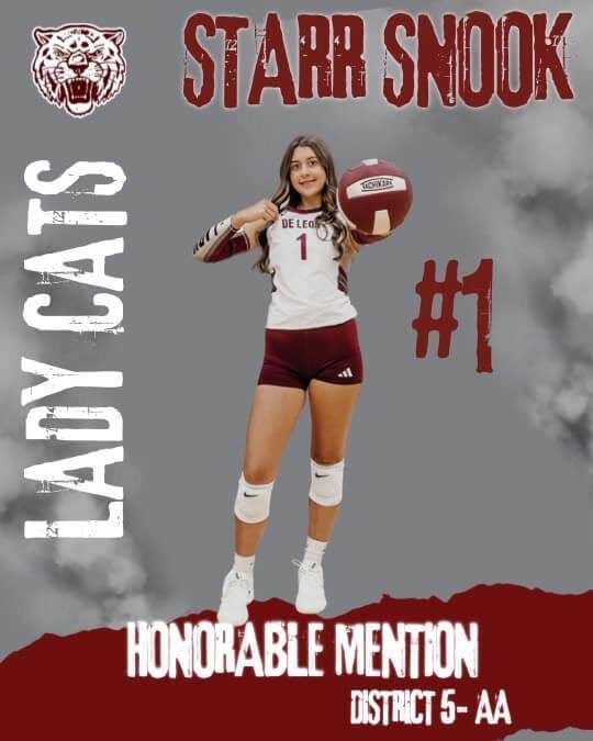 lady cats honorable mention all district