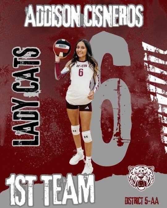 lady cats 1st team all district