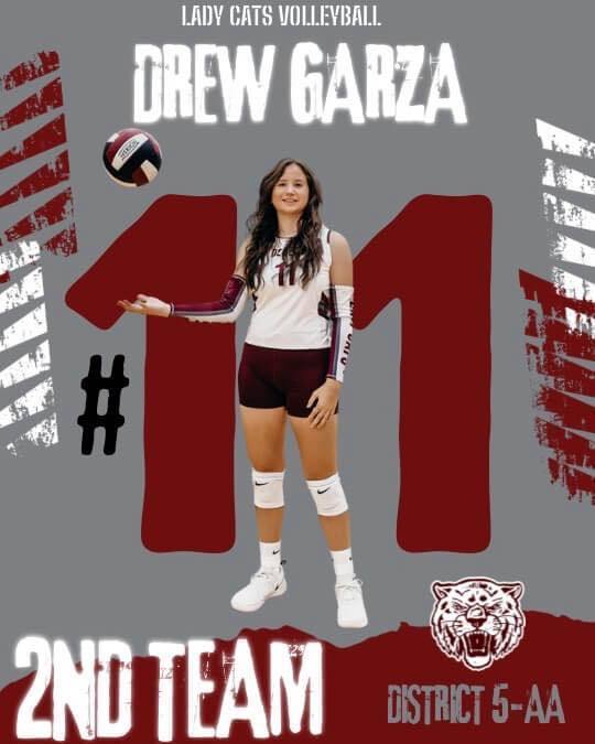 lady cats 2nd team all district