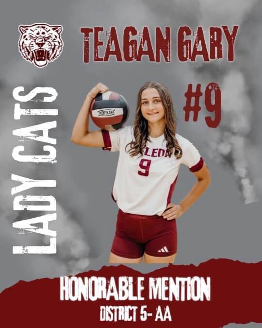lady cats honorable mention all district