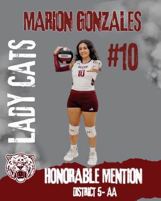 lady cats honorable mention all district