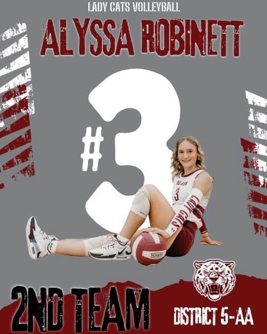 lady cats 2nd team all district