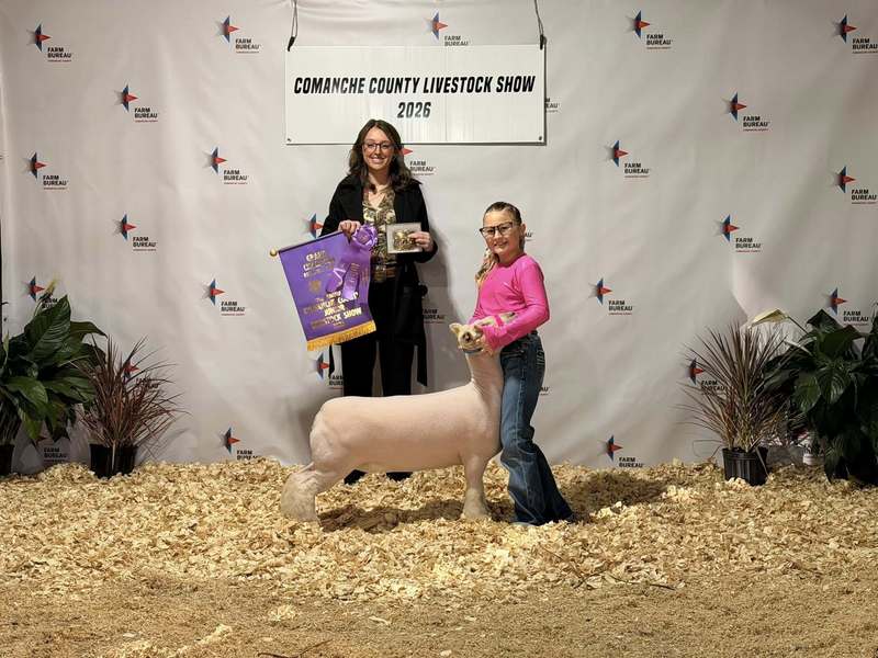 champion breeding sheep and student