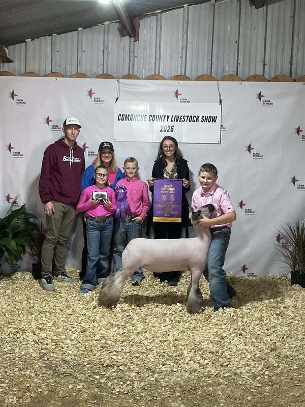 grand champion market sheep and student's family
