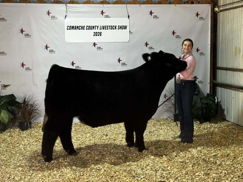 award winning steer and ffa student