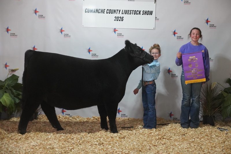 award winning heifer and ffa students