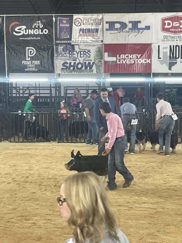 ffa member in showcase ring