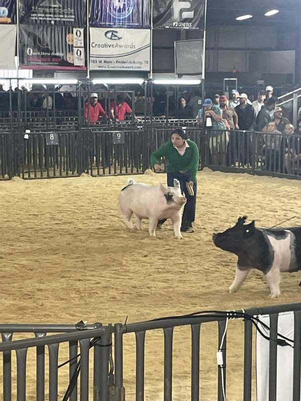 ffa member in showcase ring