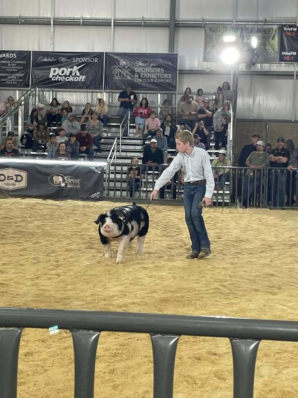 ffa member in showcase ring