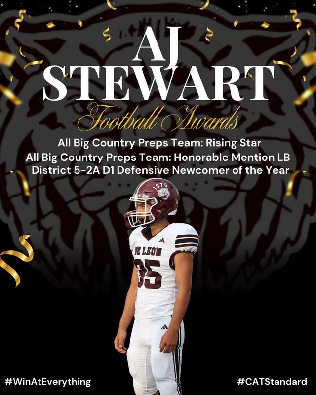 aj stewart football awards