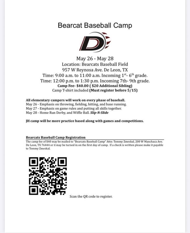 Baseball camp flyer