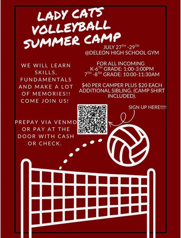 lady cats volleyball summer camp flyer