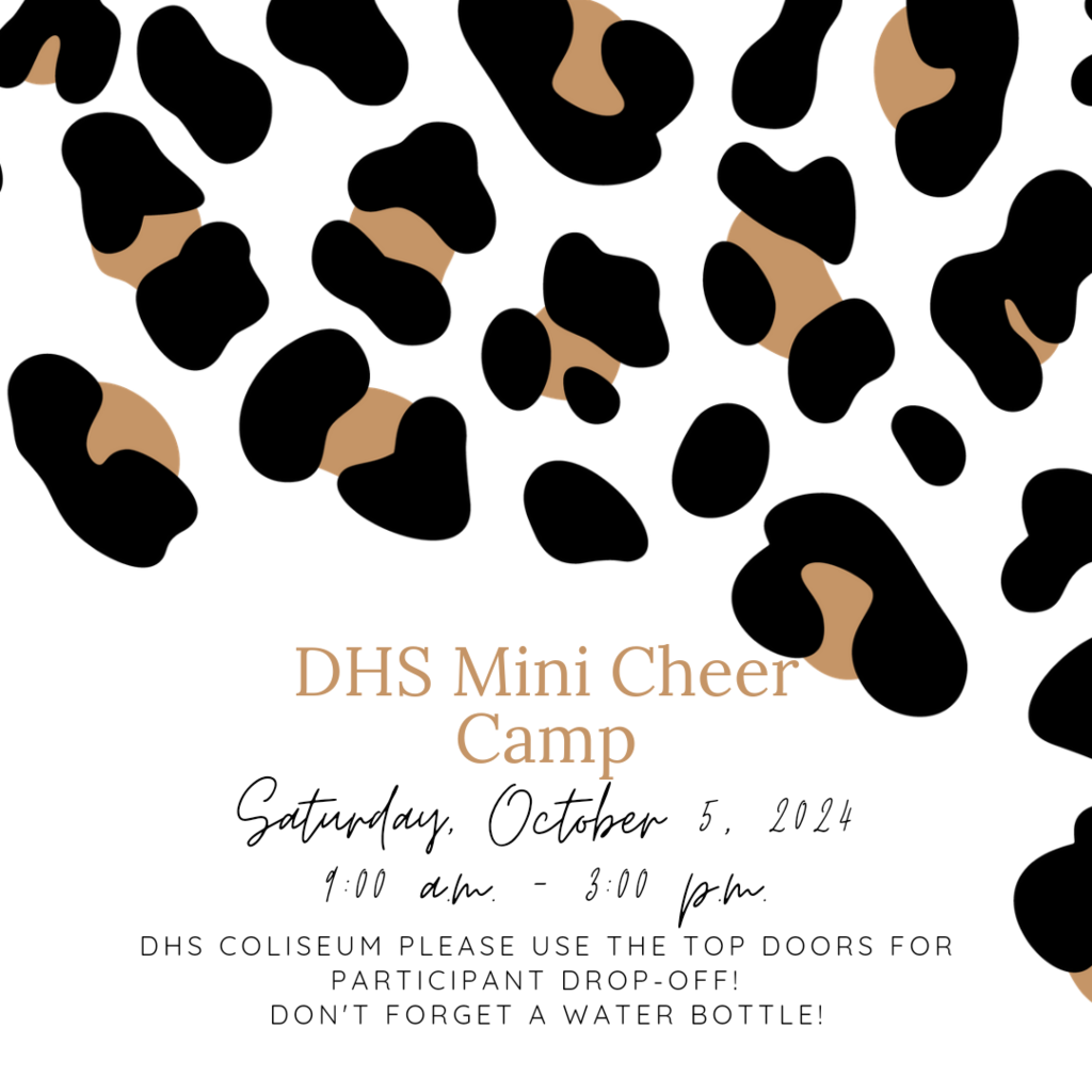 Mini cheer camp information