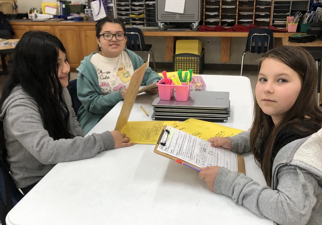 4th grade science lab "Birds of a Feather".