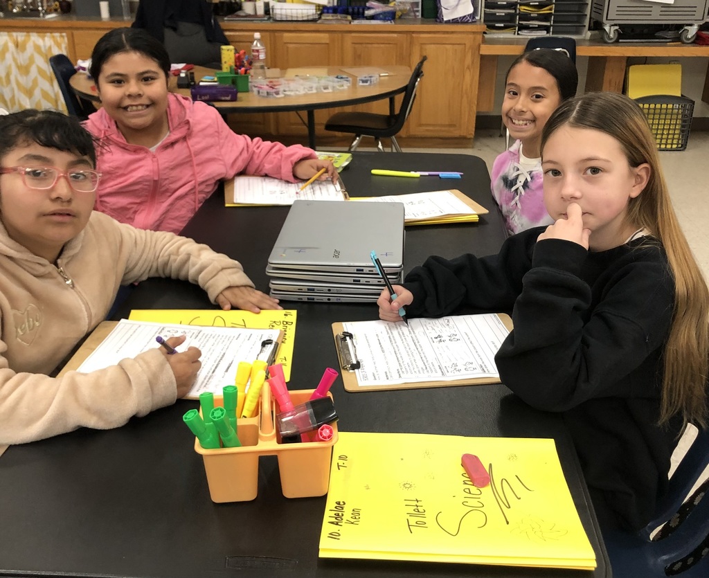 4th grade science lab "Birds of a Feather".