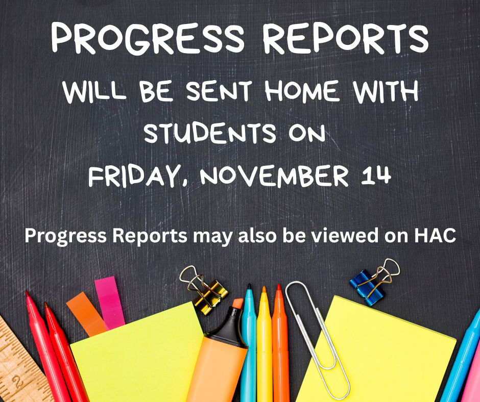 Progress Reports