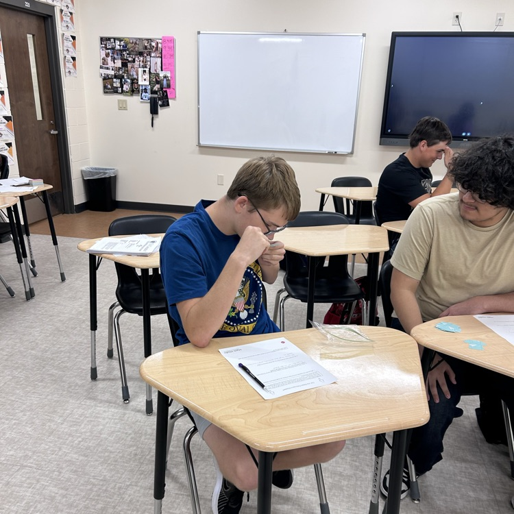 students conducting experiment