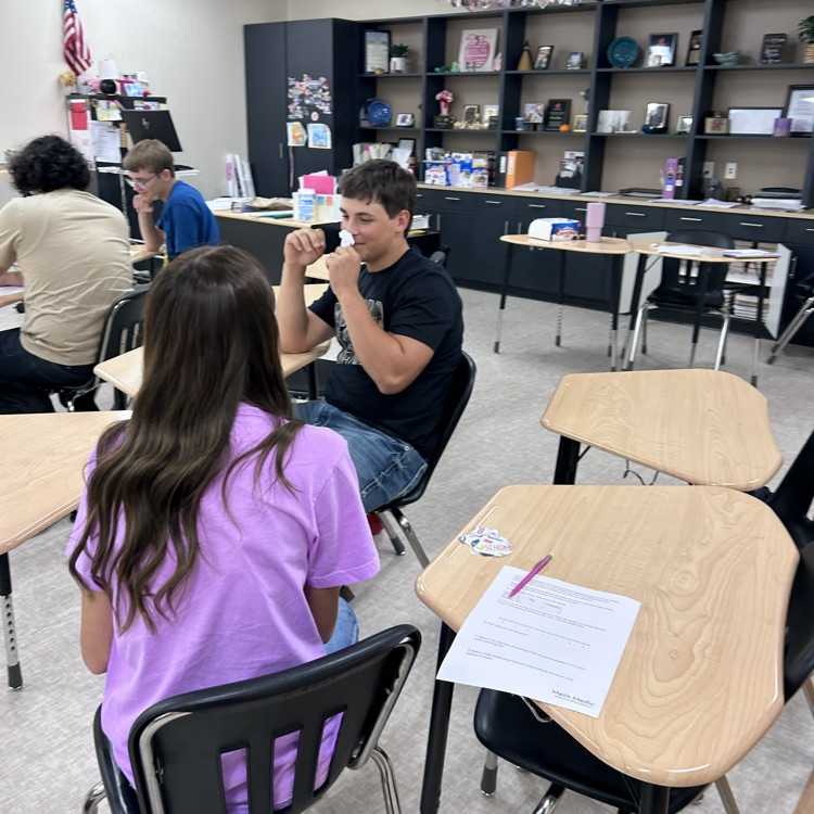 students conducting experiment