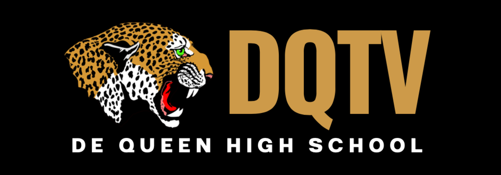 DQTV LOGO