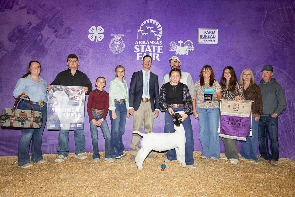 FFA Students Exhibiting Show Animals at ASF