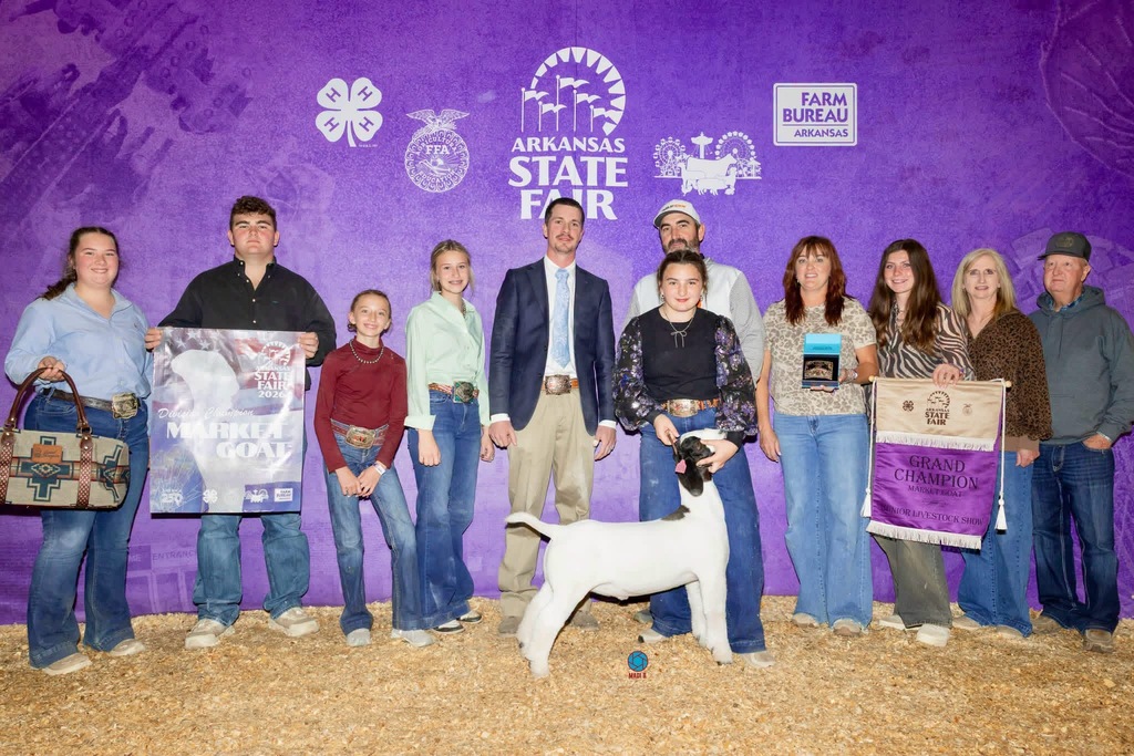FFA Students Exhibiting Show Animals at ASF