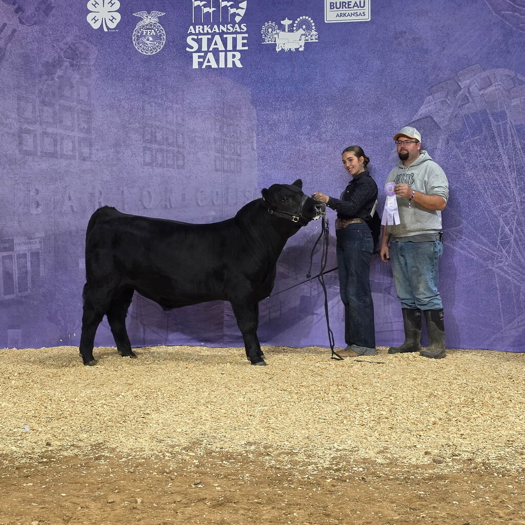 FFA Students Exhibiting Show Animals at ASF