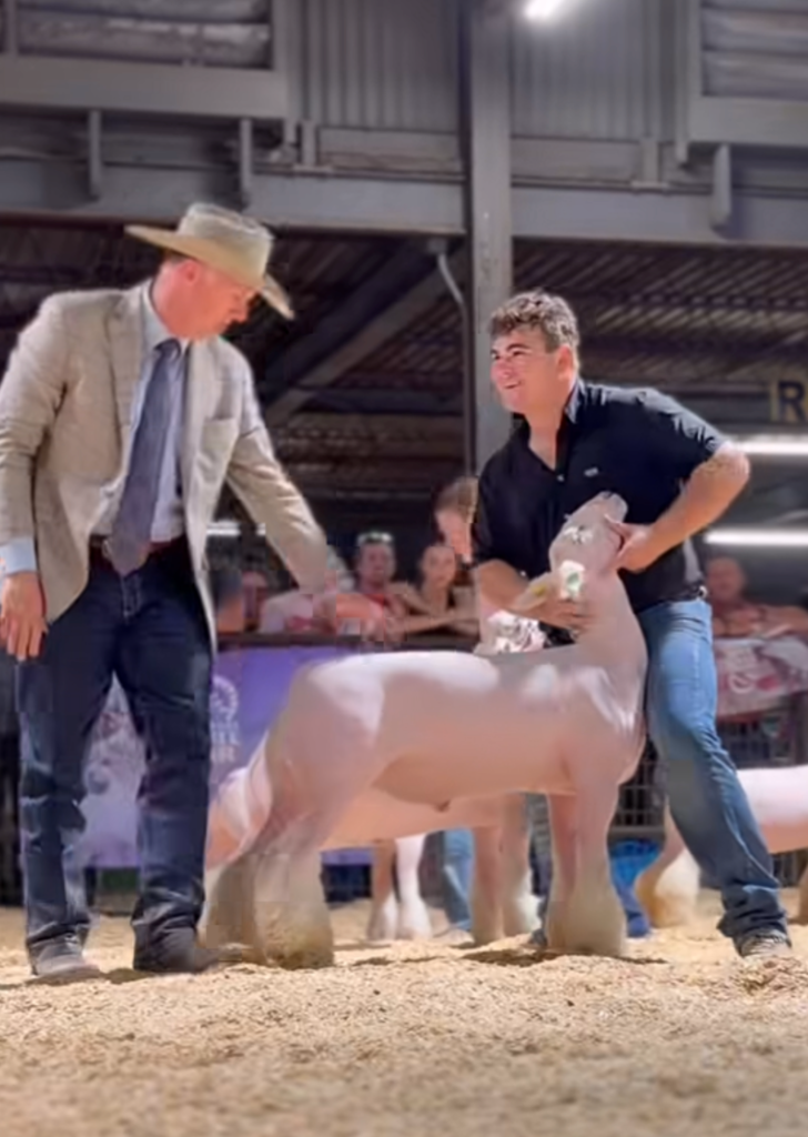 FFA Students Exhibiting Show Animals at ASF
