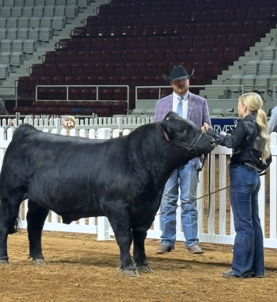 FFA Students Exhibiting Show Animals at ASF