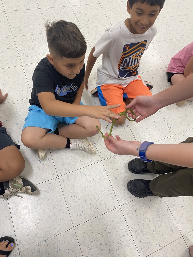 3rd grade snake show.