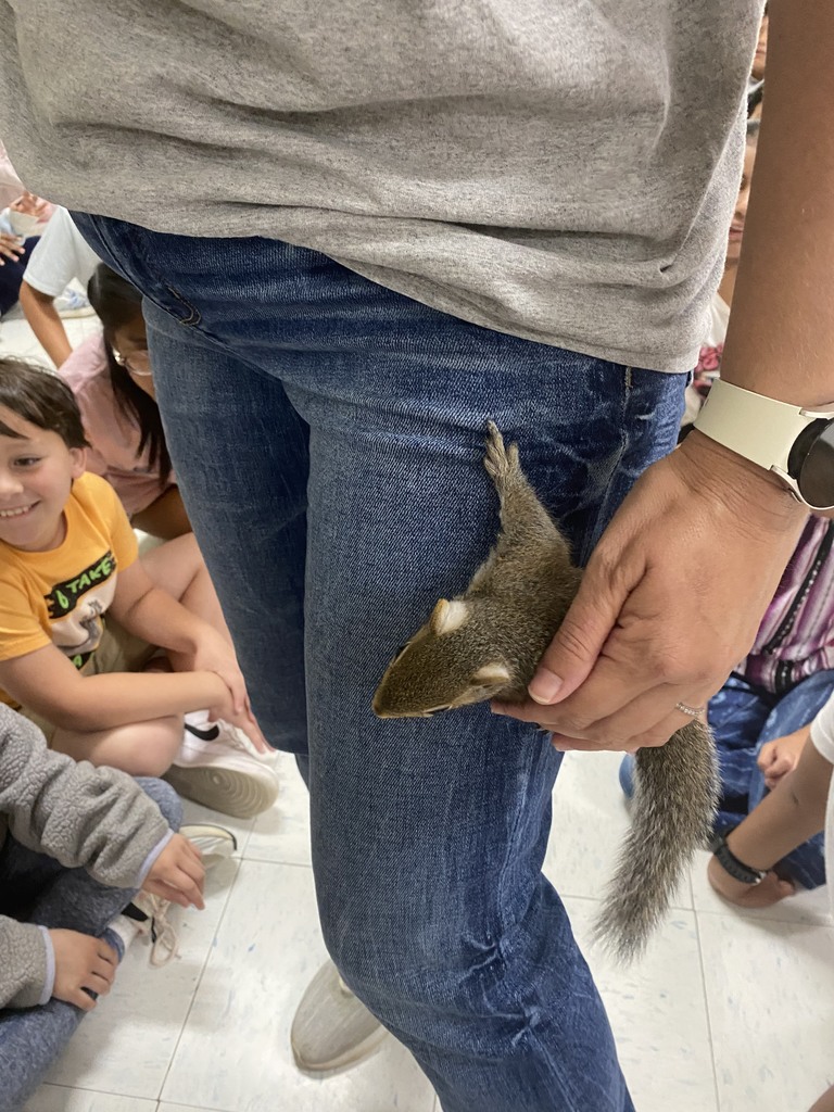 This squirrel was enjoying the attention.