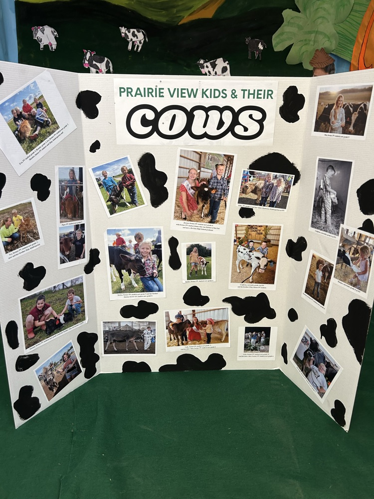 PV Kids and cows