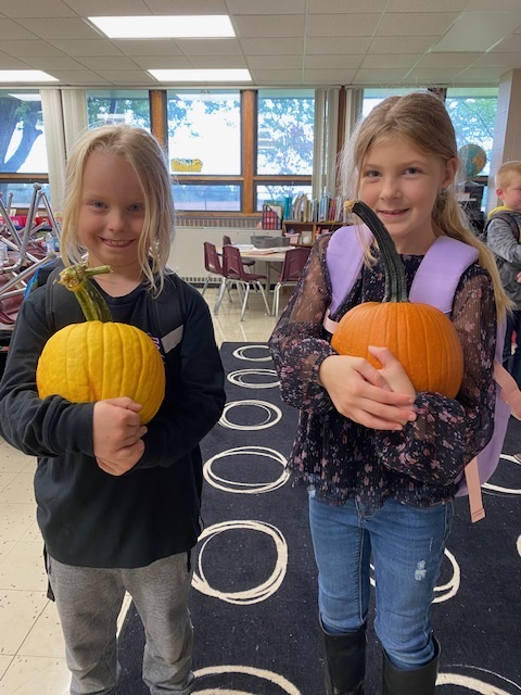 pumpkin