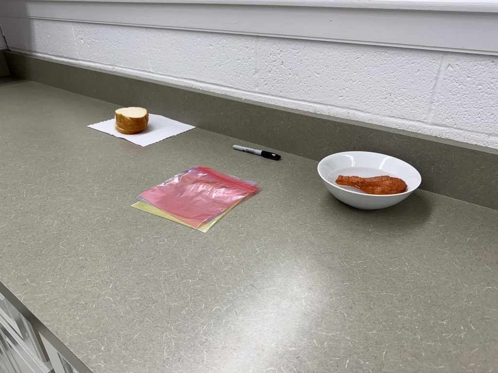 Photo of lesson.