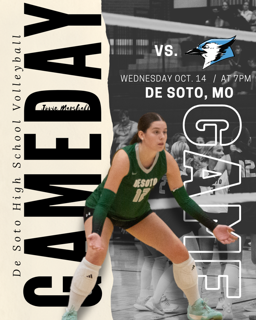 Volleyball Post