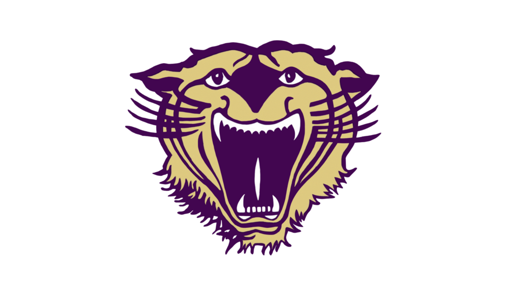 dcboe bearcat logo