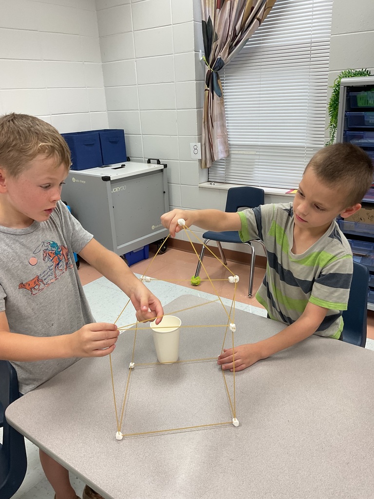 Two boys build a spaghetti and marshmallow structure holding a paper cup during a STEM activity
