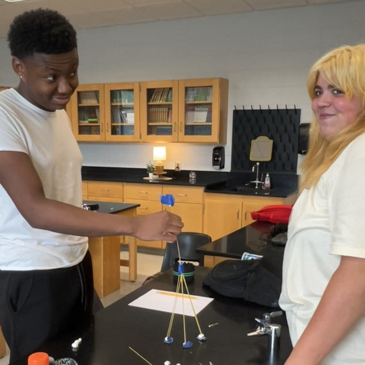 Mrs. Logue’s class used the engineering design process to research, design, and build spaghetti towers. They competed to see which team could create the tallest free standing tower!